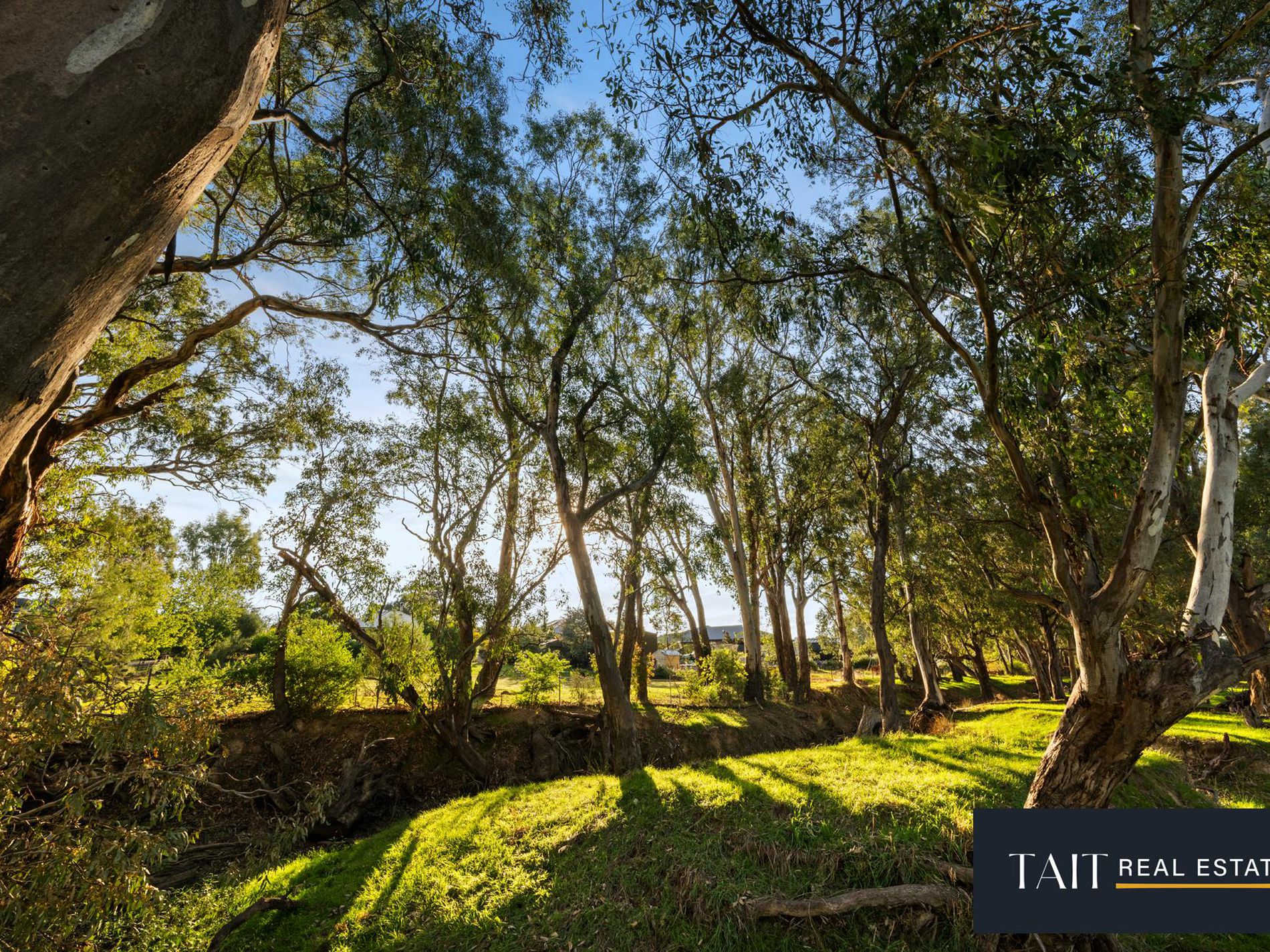 41 Pin Oak Dr, Wangaratta