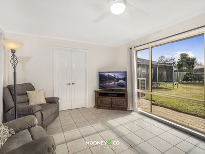12 Terrence Drive, Cranbourne North