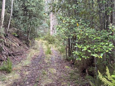 711 Judds Creek Road, Judbury