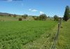 779 Lower Lewis Ponds Road, Orange