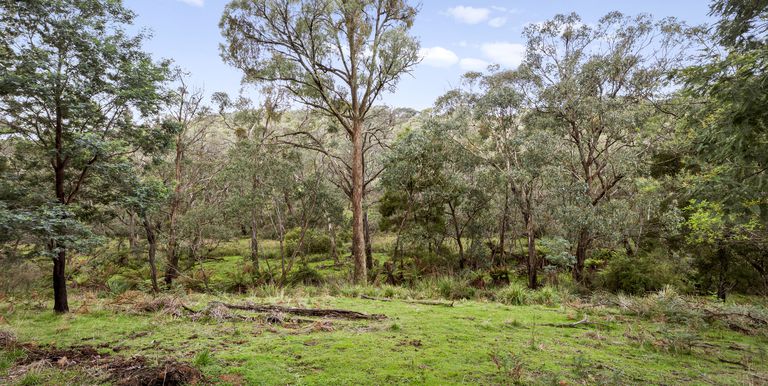 Lot 1 & 2 McCombes Road, Creek Junction