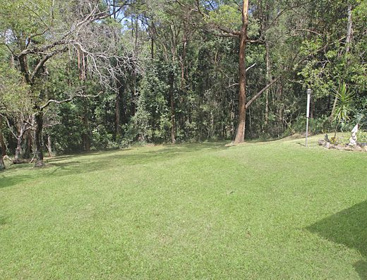 Paradise Found image 14