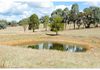 86 Frewin Road, Orange