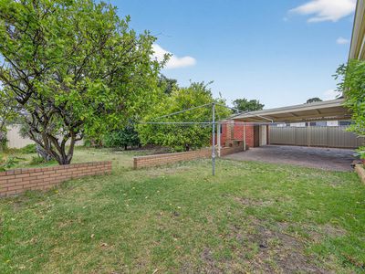 31 Blackham Way, Balga
