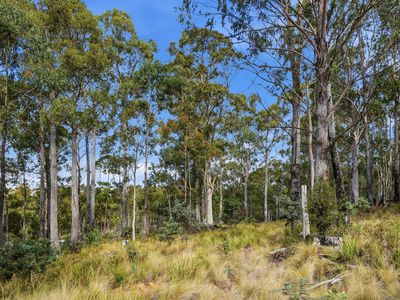 18 Little Spit Road, Lake Leake