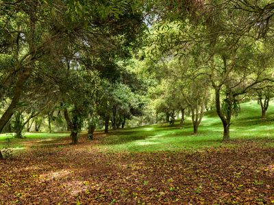 1005 TUNTABLE CREEK ROAD, Nimbin