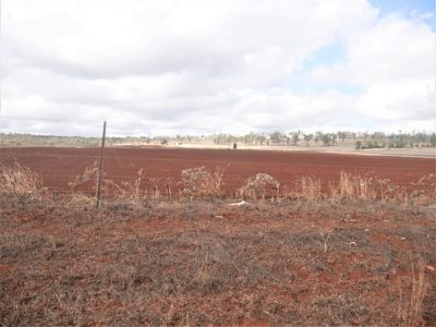 337 Kumbia Minmore Road, Kingaroy