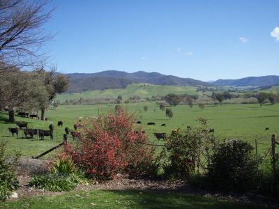 Mullagong Road, Upper Gundowring