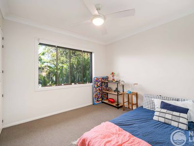 9 Avocado Court, Mullumbimby