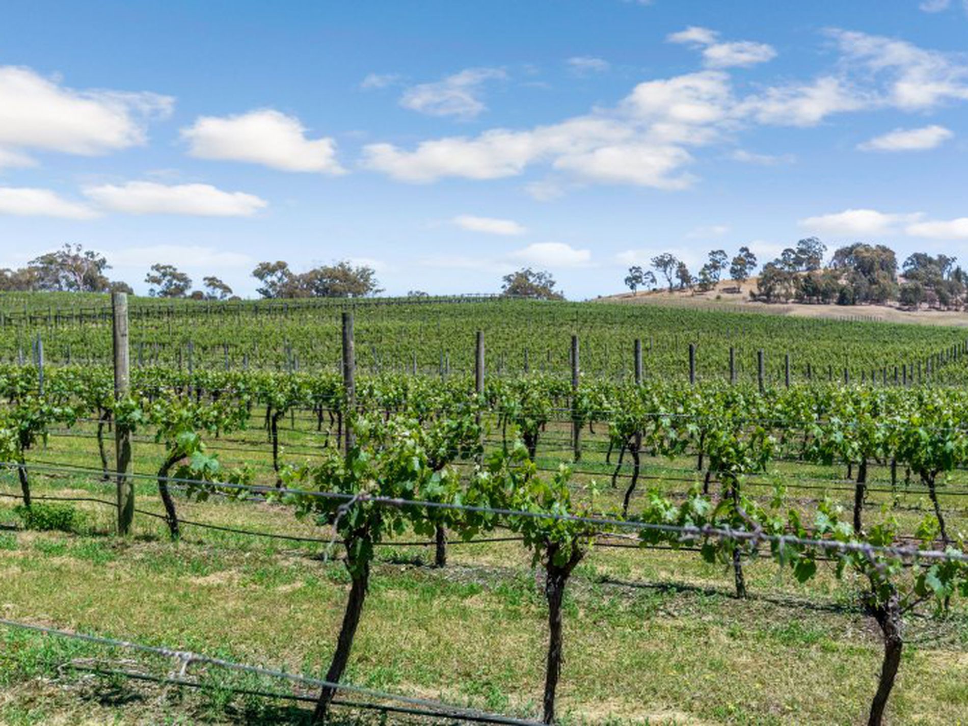 19 Drummonds Lane, Heathcote