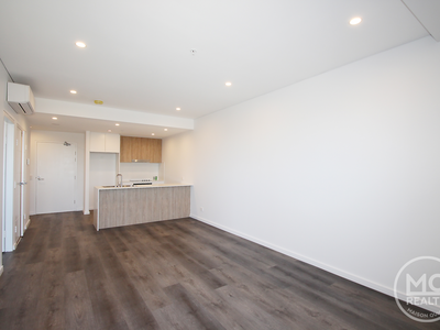 310 / 11 Raphael Street, Lidcombe