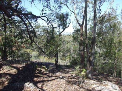 Lot 1032, Upper Boggy Creek Road, Millingandi