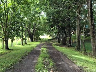 2430 Nimbin Road, Nimbin