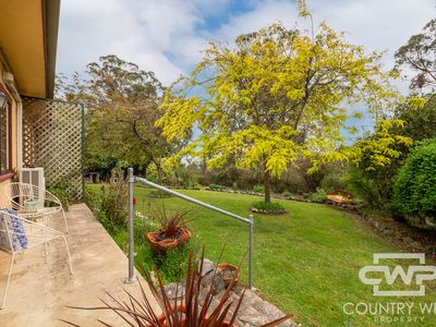 7 Ward Crescent, Glen Innes