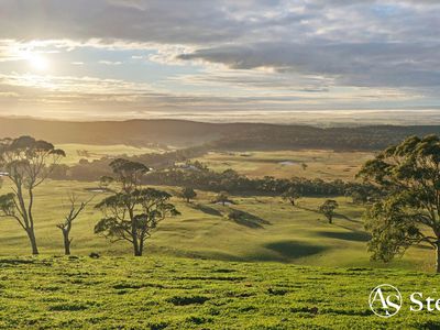 260 & 310 Mt William Road, Goldie
