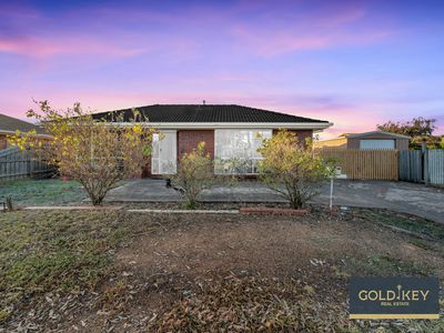 10 Pardalote Close, Werribee