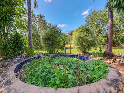 35 Arius Road, Dundee Downs