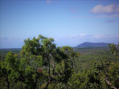 70 Oakey Creek Road, Cooktown