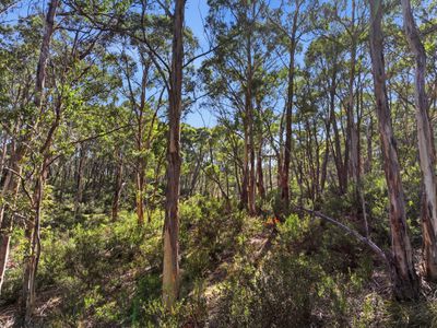 329 Charleys Forest Road, Braidwood