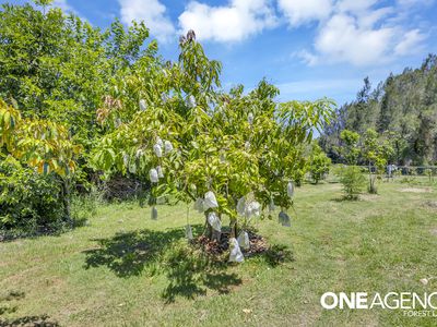 47 Keith Street, Bundamba