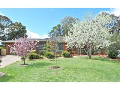 3 Nerang Court, Kennington