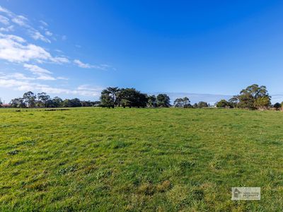 Wynyard