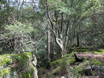 261 Jacks Corner Road, Kangaroo Valley