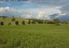 129 Mt Top Road, Orange