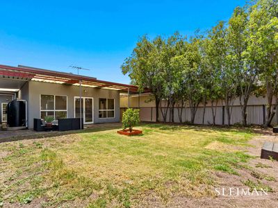 20 Lynne Maree Avenue, Cairnlea