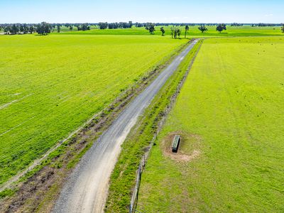 'Pastoria Park' 205 Balldale Road, Hopefield