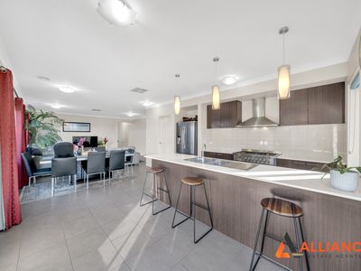 17 Reginato Court, Tarneit