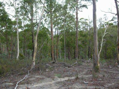 Ellendale Road, Westerway