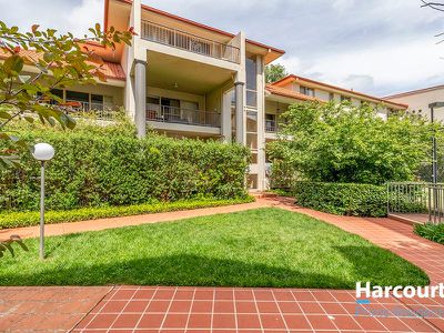 141 / 81 Kennedy Street, Kingston