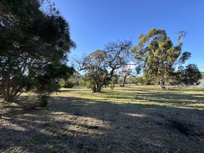 Lot 51, Corner of Blackwood Road and Banya South Road , Millicent