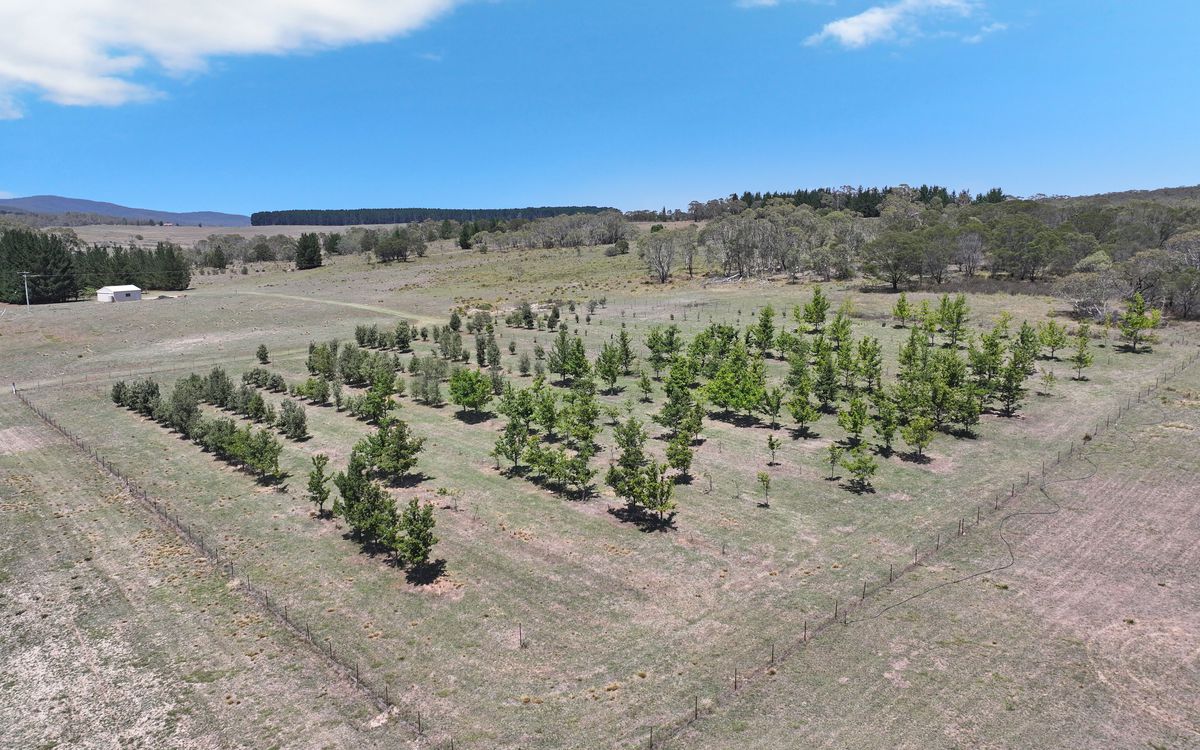 760 Wallaces Gap Road, Braidwood