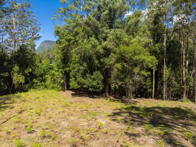 80 Robb Road, Lillian Rock
