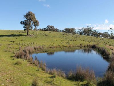 345 Hardings Lane, Tooborac