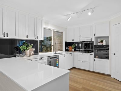 8 Nolina Court, Indooroopilly