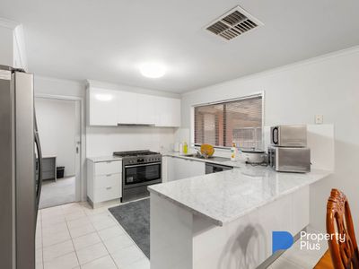 Rooms 1 - 7/11  Magazine Boulevard, Golden Square