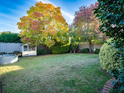 3 AVONDALE DRIVE, Wodonga