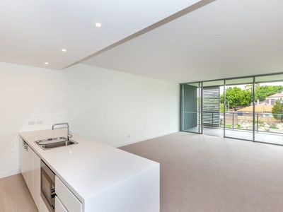 303 / 119 Ross St, Forest Lodge