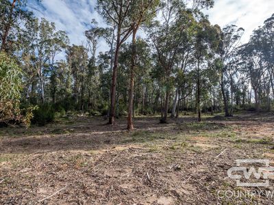 106 Warra Forest Road, Mount Mitchell