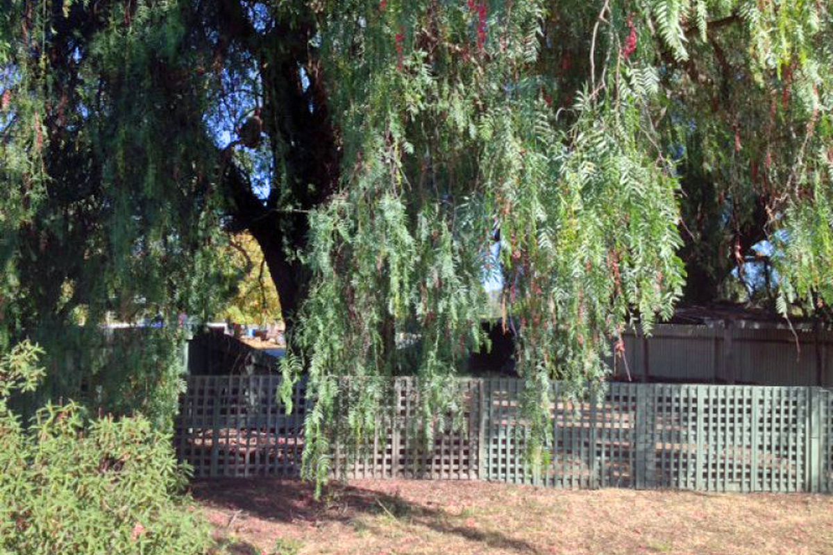 20 Queen Street, Avenel