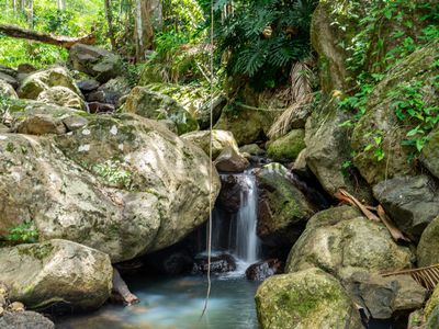 771 Left Bank Road, Mullumbimby Creek