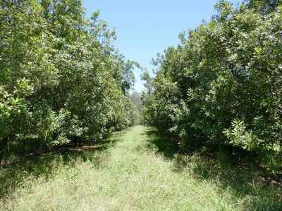 Lot 6 Cook Road, Glass House Mountains