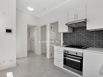 53 Arthur Street, Ashfield