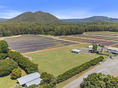 43 Morrison Road, Glass House Mountains