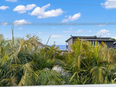 115 Matron Porter Drive, Narrawallee