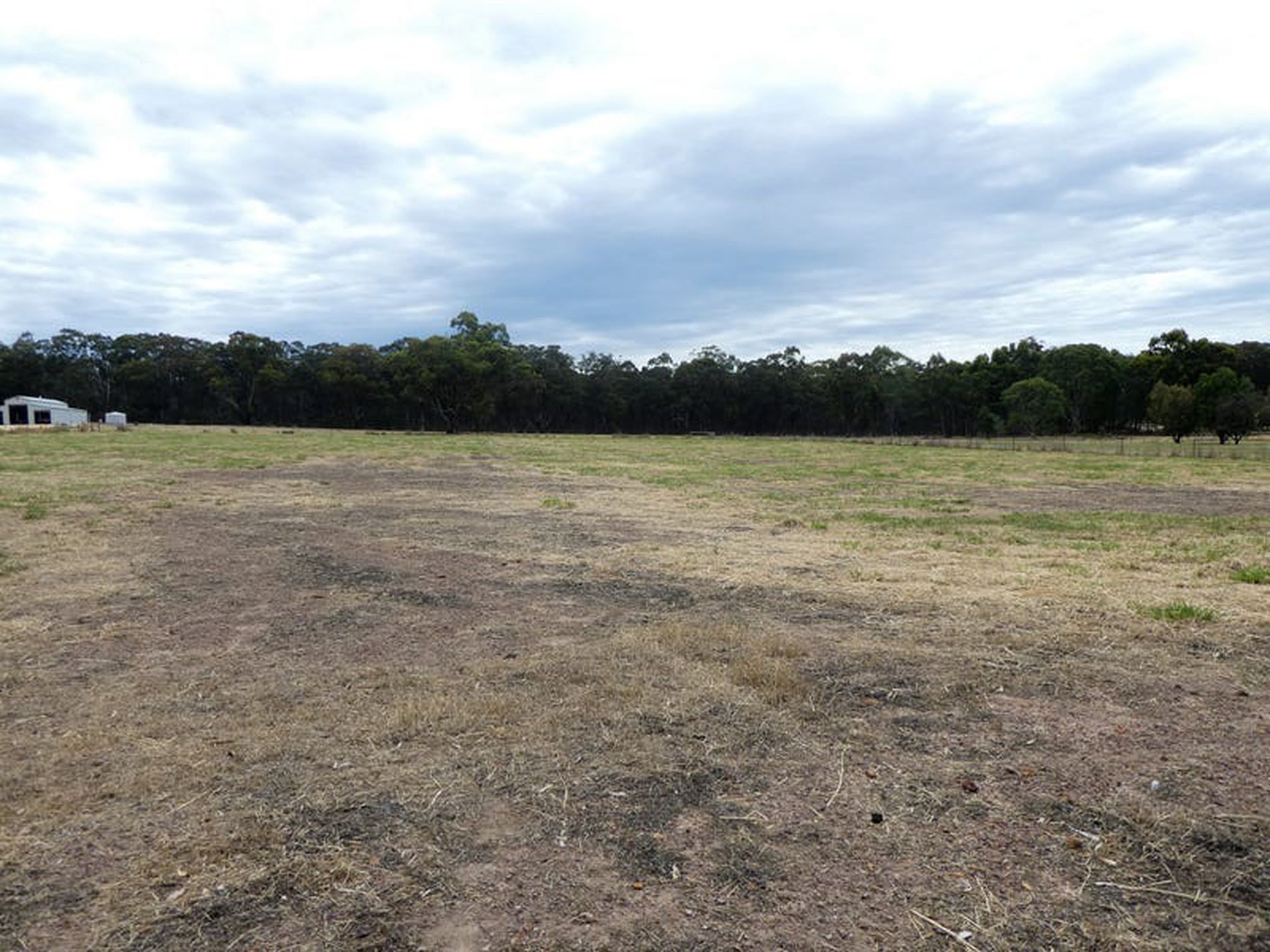 18 Bush Pea Dr, Seymour