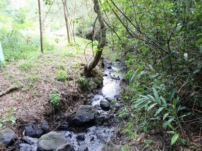 Lot 10 Tulsi Lane, Nimbin